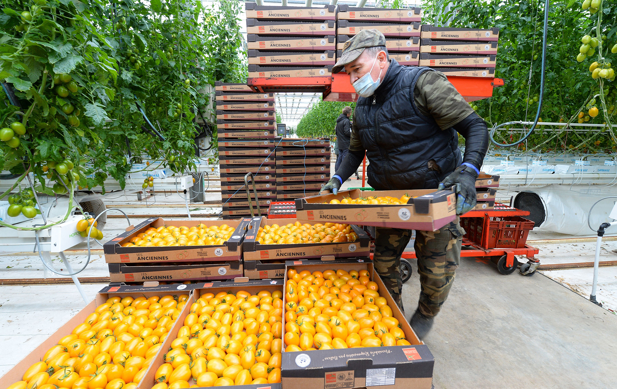 Низькі зарплати та "непотрібні" дипломи. Чому українцям складно знайти роботу за кордоном